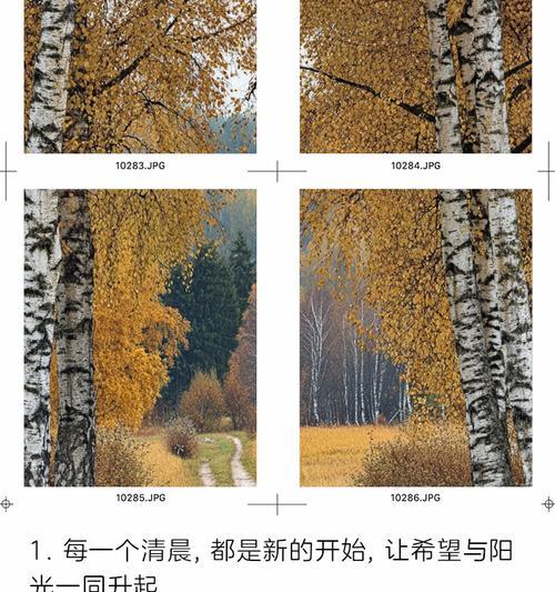 一缕阳光的力量（携手前行的故事）
