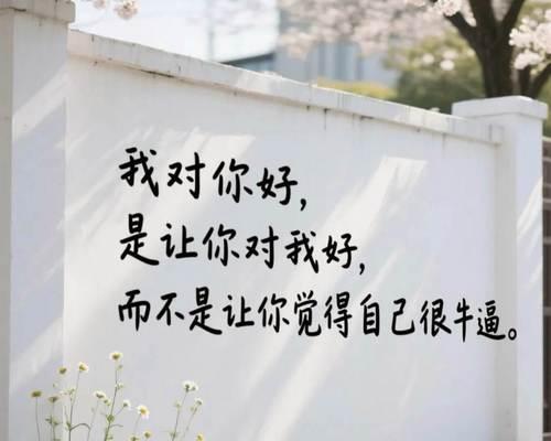 成长的足迹——我自己（从踌躇满志到坚定前行，我与自己的奋斗）