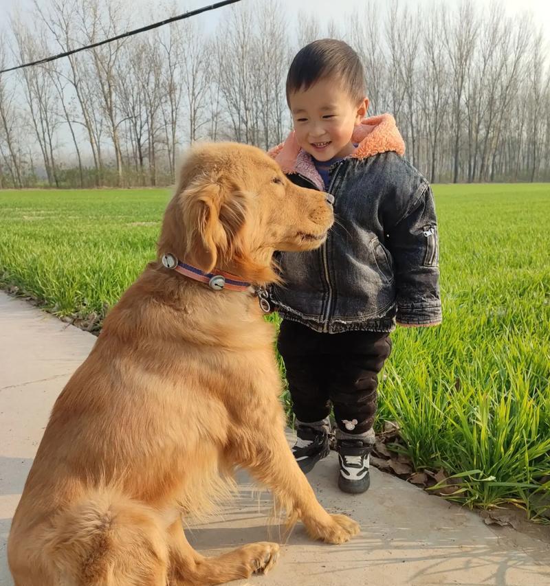 亲近自然，享受美好（亲近自然，享受美好）