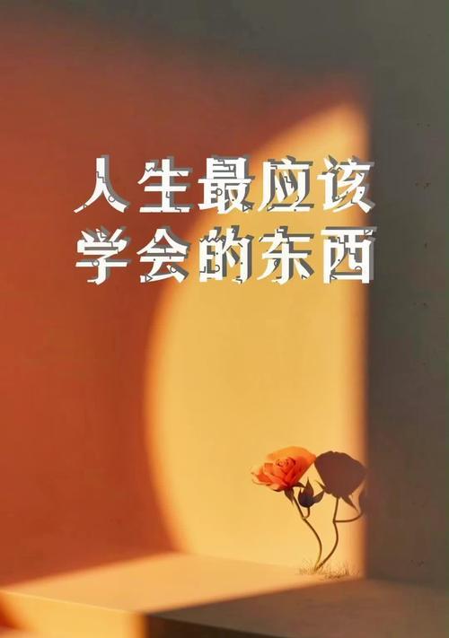 雨天里的细心（一只小狗的助力）