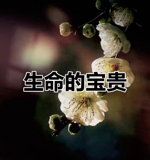 温暖的心灵