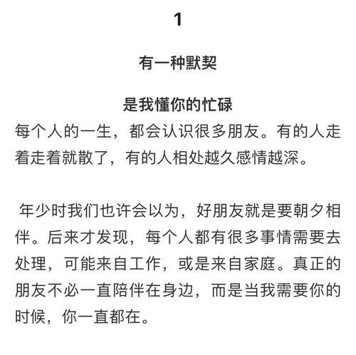 友情之路：一段值得铭记的旅程