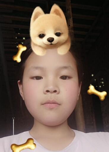 家庭故事：我的家人们