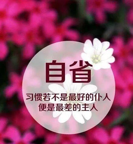 时光美好（记忆里的珍宝）