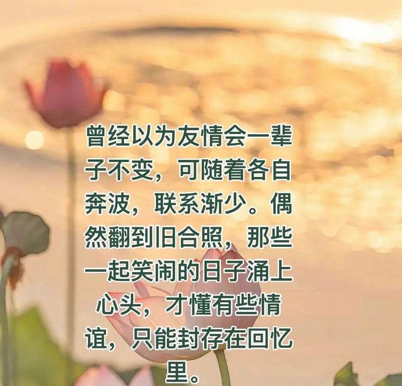 多年后重逢，依然心有灵犀（多年后重逢，依然心有灵犀）