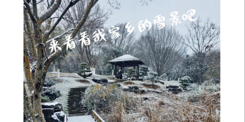 一个小男孩的不同寻常的一天（一个小男孩的不同寻常的一天）