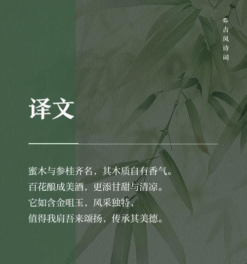 高尚情操：永不退色的品格