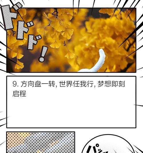 他是我的梦想伙伴（他是我的梦想伙伴）