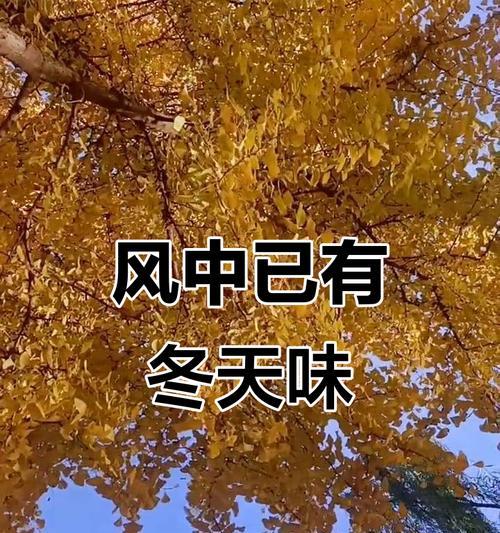 一个冬天的夜晚——寻找遗失的记忆