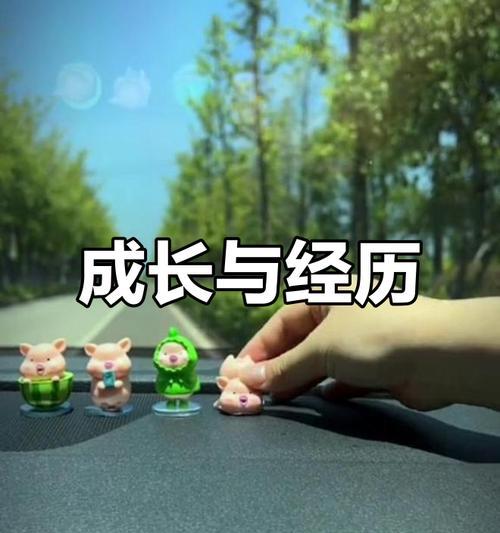 成长路上的我——我的亲身经历（勇敢面对困难，不断成长）